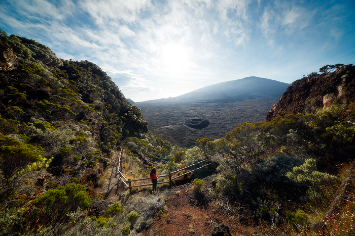 XP 14mm F2.4